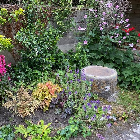 Bradford-On-Avon Herb Cottage المظهر الخارجي الصورة